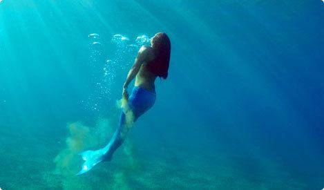 A mermaid rises up from the seafloor